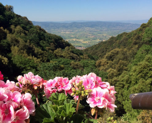 Blick von der Carceri ins umbrische-Land